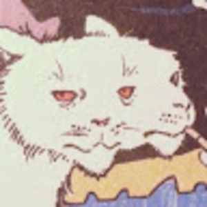 Meet your Posher, Bryn